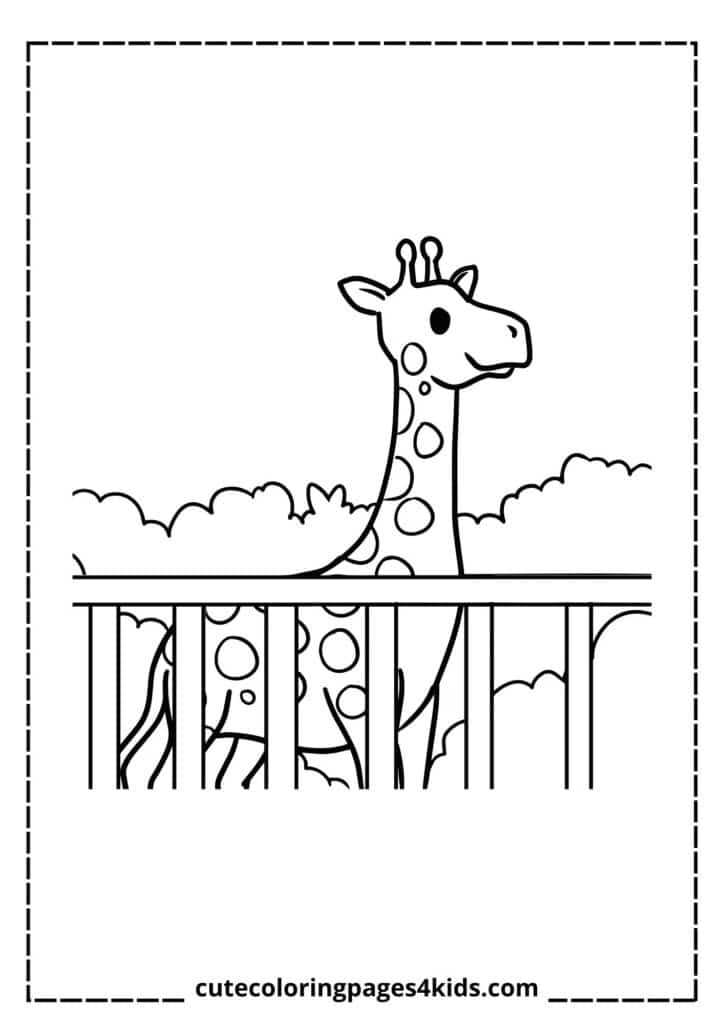 A tall and graceful giraffe standing in a zoo enclosure, surrounded by trees and a natural habitat. With its long neck and beautiful spotted coat, the giraffe looks curious as it gazes around, enjoying its environment.