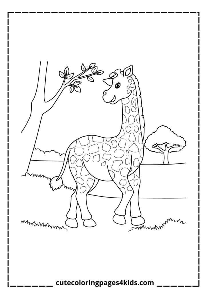 A graceful giraffe standing under the warm sunshine, its long neck reaching toward the sky. The sunlight highlights its beautiful spotted coat as it enjoys the peaceful and bright day in its natural surroundings.