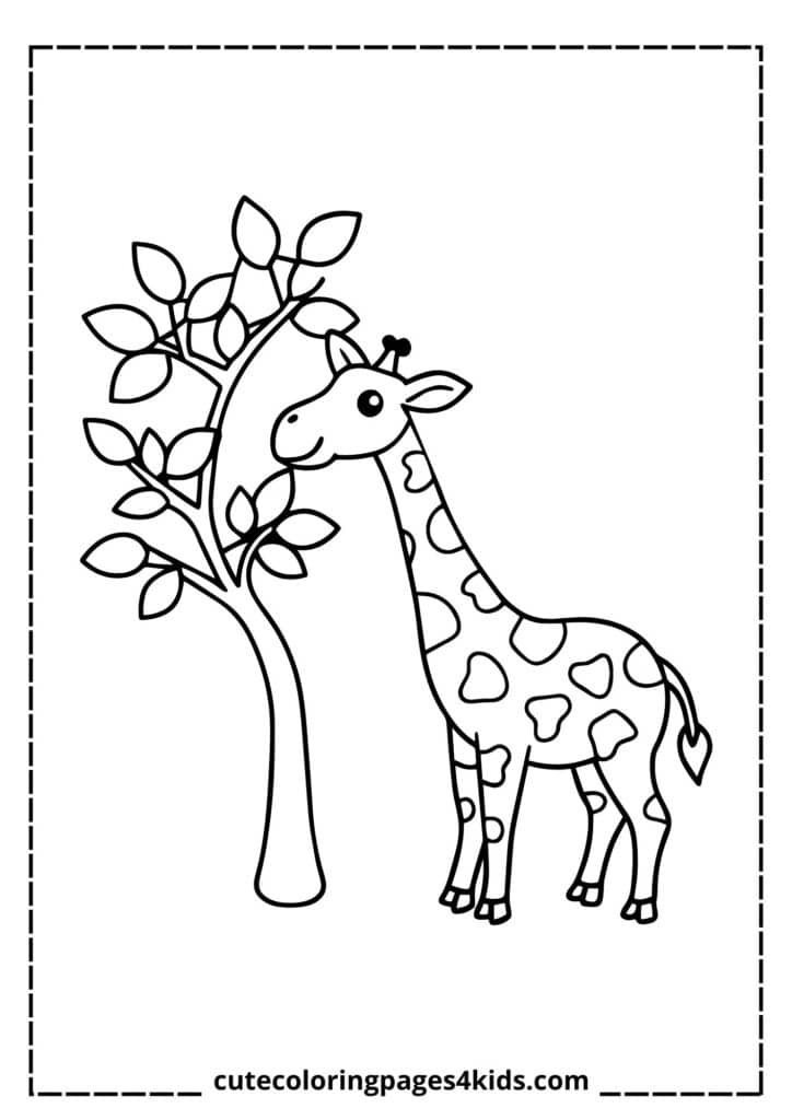 A curious giraffe reaching for the leaves of a small tree, its long neck stretching gracefully. The giraffe looks playful and excited as it enjoys a tasty snack in the peaceful natural setting.