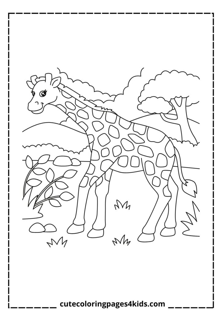 A majestic giraffe wandering through the vast safari landscape, surrounded by golden grass and tall acacia trees. With its long neck and striking spotted coat, the giraffe enjoys the open wilderness under the bright sky.